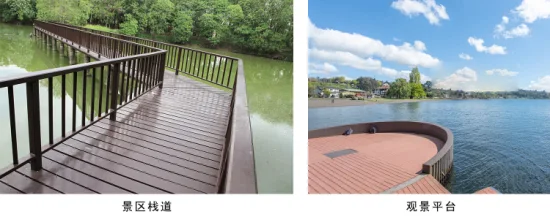 Promoção de vendas Coextrusão de fibra de cimento ao ar livre Decking composto Piso projetado