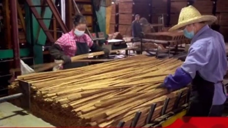 (À prova d'água resistente ao congelamento) Piso de bambu trançado interno e externo projetado